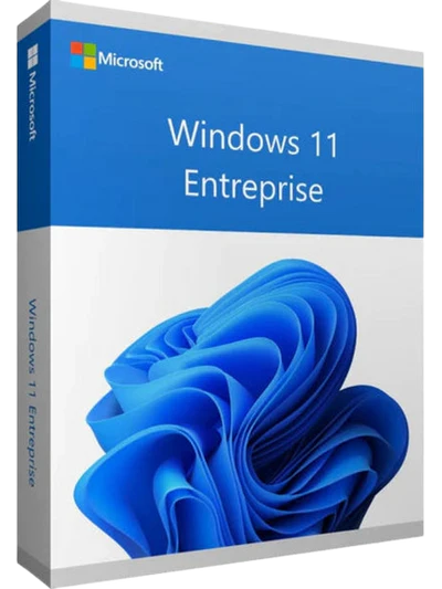 Windows 11 Entreprise
