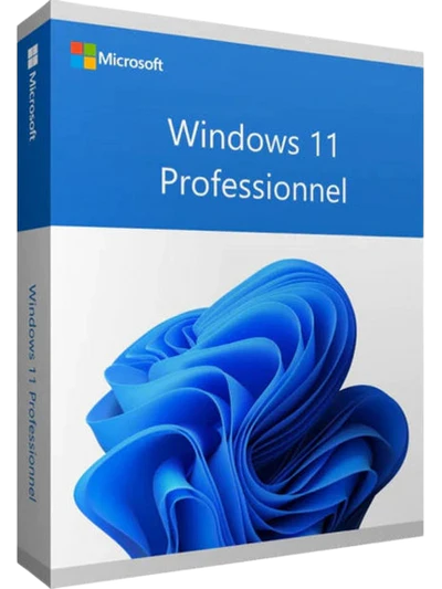 Windows 11 Professionel